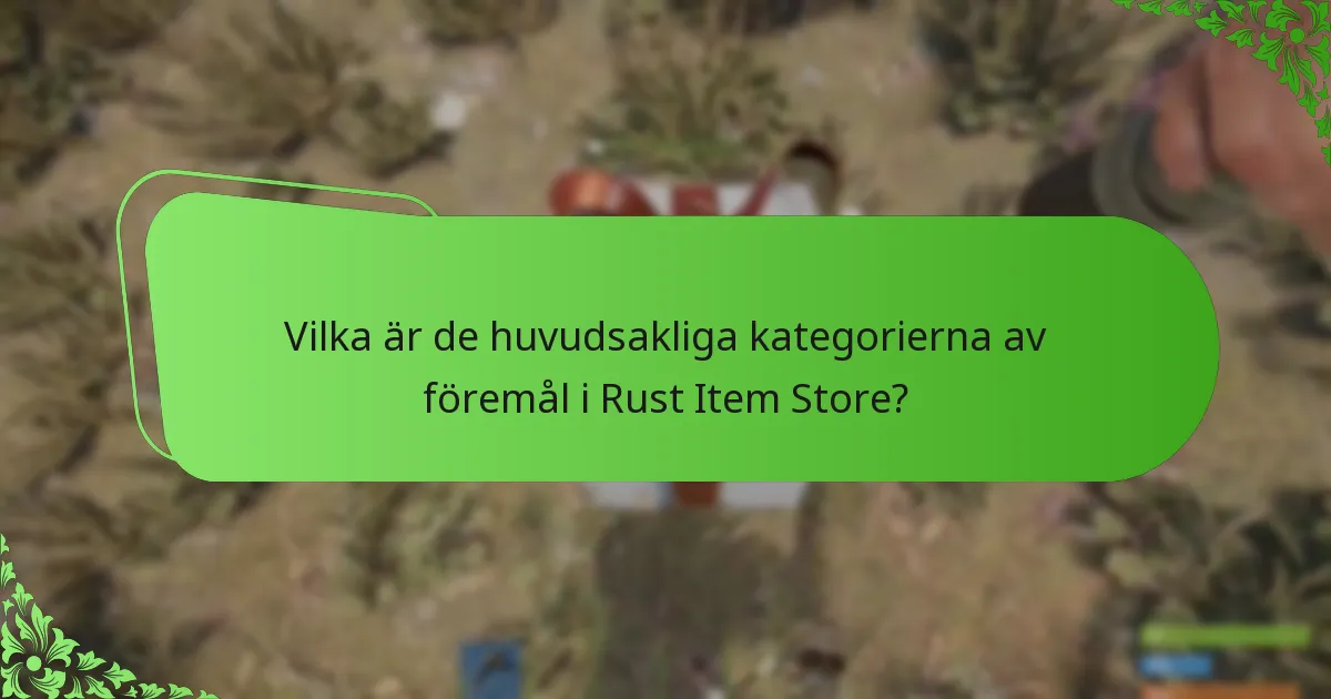Vilka betalningsalternativ finns tillgängliga i Rust Item Store?